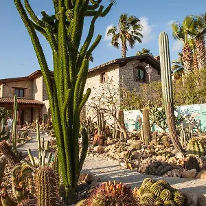 Garden Cactus , Villaggio Mosè Italia